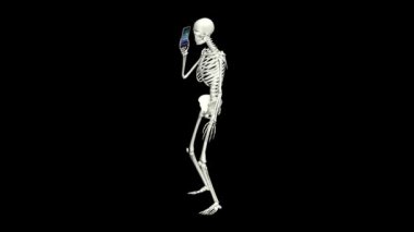 İskelet telefonda konuşuyor. Telefonu kullanarak iskelet sohbeti. Üç boyutlu gerçekçi animasyon. Şeffaf arkaplan.