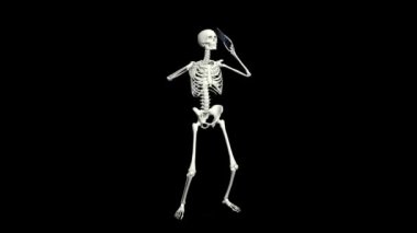 İskelet telefonda konuşuyor. Telefonu kullanarak iskelet sohbeti. Üç boyutlu gerçekçi animasyon. Şeffaf arkaplan.