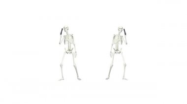 İskeletler telefonda konuşuyorlar. Telefonları kullanarak iskelet sohbeti. Üç boyutlu gerçekçi animasyon. Şeffaf arkaplan.