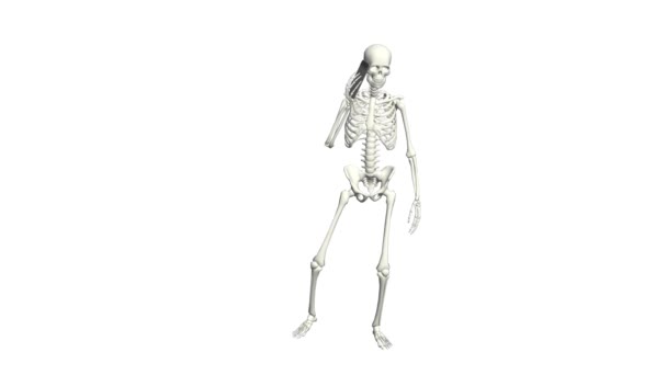 Skeleton Talking Phone Skeleton Conversation Using Phone Realistic Animation White — Stock Video