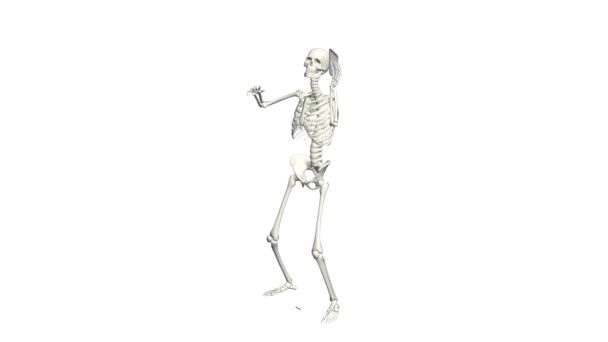 Σκελετός Μιλάει Στο Τηλέφωνο Σκελετός Συνομιλία Χρησιμοποιώντας Τηλέφωνο Ρεαλιστικό Animation — Αρχείο Βίντεο