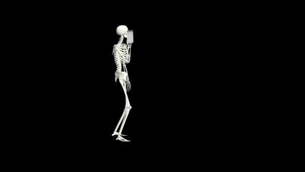 Skeleton Talking Phone Skeleton Conversation Using Phone Realistic Animation Transparent — Vídeos de Stock