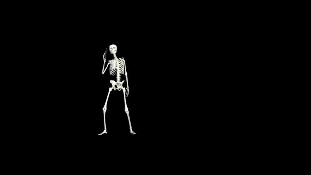 Σκελετός Μιλάει Στο Τηλέφωνο Σκελετός Συνομιλία Χρησιμοποιώντας Τηλέφωνο Ρεαλιστικό Animation — Αρχείο Βίντεο