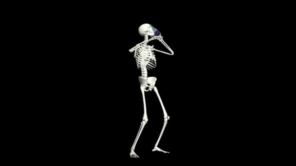 Skeleton Talking Phone Skeleton Conversation Using Phone Realistic Animation Transparent — Video Stock