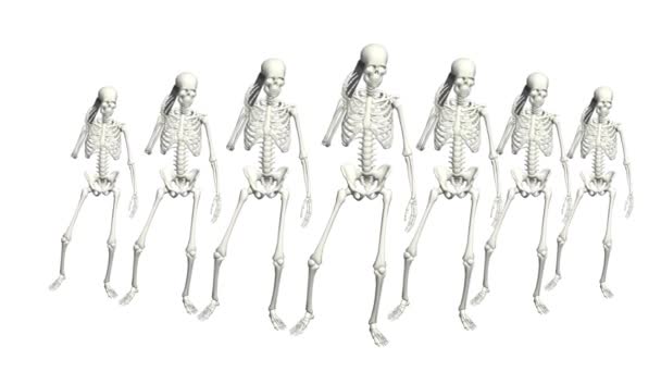Los Esqueletos Están Hablando Por Teléfono Conversación Esqueletos Usando Los — Vídeo de stock