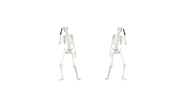 Esqueletos Estão Falar Telefone Conversa Esqueletos Usando Telefones Animação Realista — Vídeo de Stock