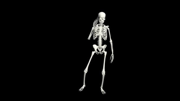 Skeleton Talking Phone Skeleton Conversation Using Phone Realistic Animation Black — Video Stock