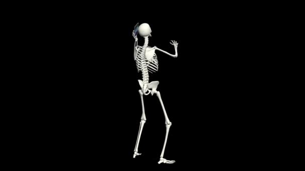 Skeleton Telefoniert Skelettgespräche Telefon Realistische Animation Schwarzer Hintergrund — Stockvideo