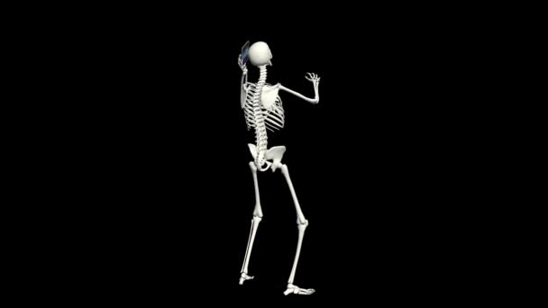 Skeleton Talking Phone Skeleton Conversation Using Phone Realistic Animation Black — Stockvideo