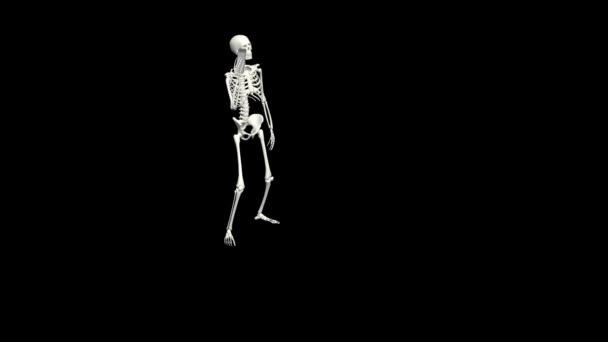 Skeleton Sta Parlando Telefono Conversazione Scheletrica Usando Telefono Animazione Realistica — Video Stock