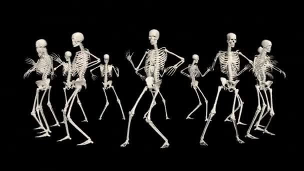 Danse Halloween Squelettes Danse Halloween Squelettes Drôle Animation Danse — Video