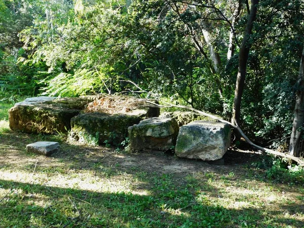 Platos Akademisi 'nin antik sitesi. Parktaki eski taşlar