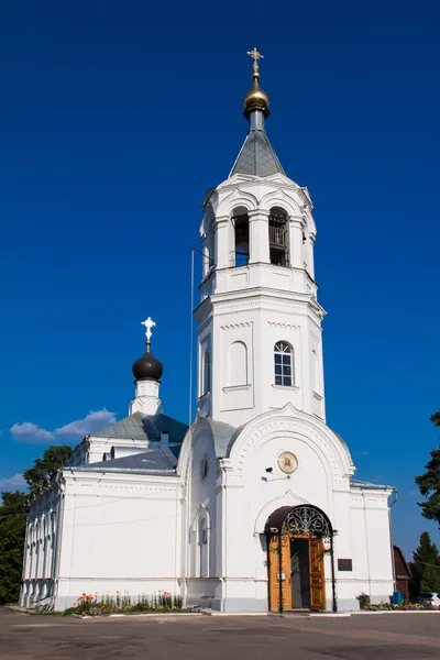 A Mitino születés temploma Jogdíjmentes Stock Fotók