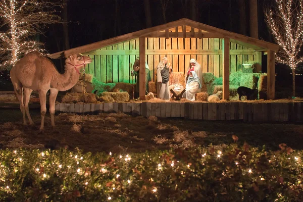 Canlı Christmas nativity set — Stok fotoğraf