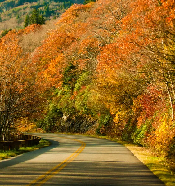 Herbstautobahn — Stockfoto