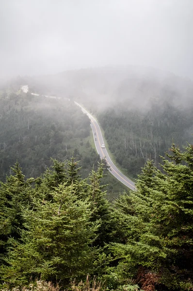 Surplombant la vallée brumeuse et les pins baumiers au Mt. Mitchell, NC — Photo