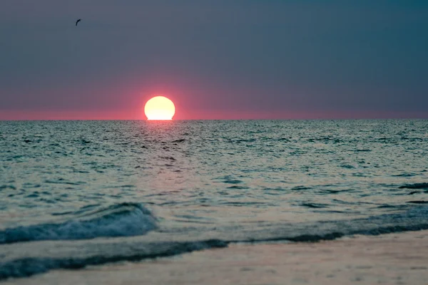 Panama City Coucher de soleil — Photo