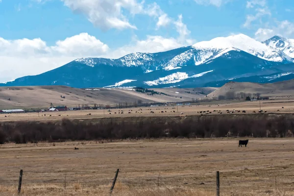 Montagnes Rocheuses dans le Montana — Photo