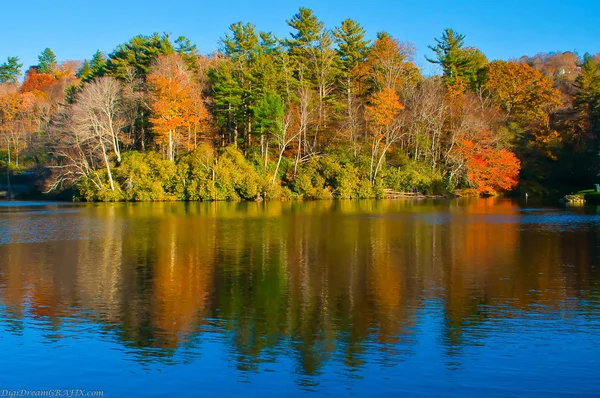 Doğa reflections sonbahar sırasında — Stok fotoğraf