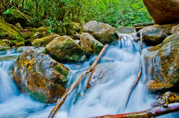 Mountain Stream — Stock Photo, Image