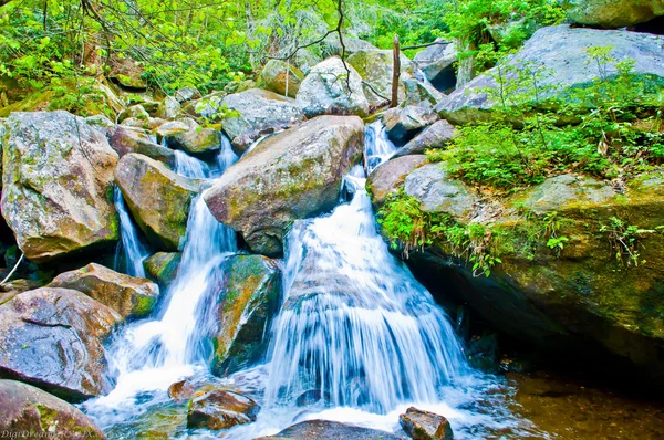 Mountain Stream — Stock Photo, Image