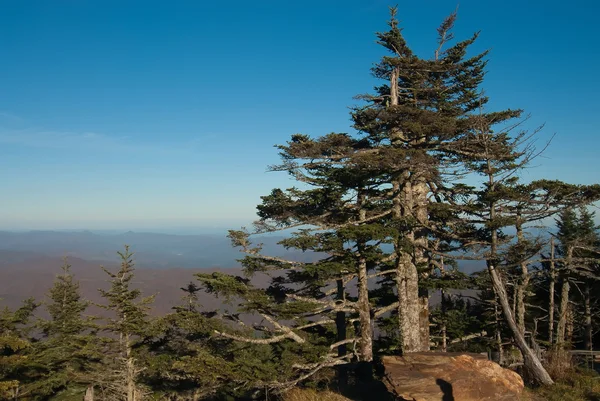 Appalachów od montażu mitchell, najwyższy punkt w wschodniej Stany Zjednoczone — Zdjęcie stockowe