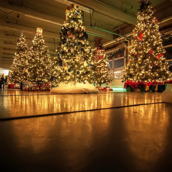 Decorated christmas trees — Stock Photo, Image