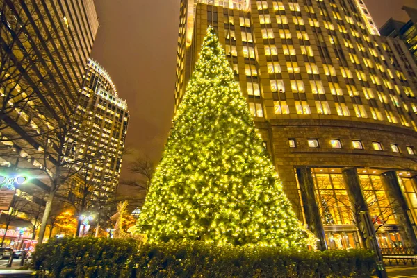 Kerstboom in charlotte stad — Stockfoto