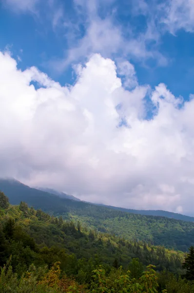 Mountains around mount mitchell — Stock Photo, Image