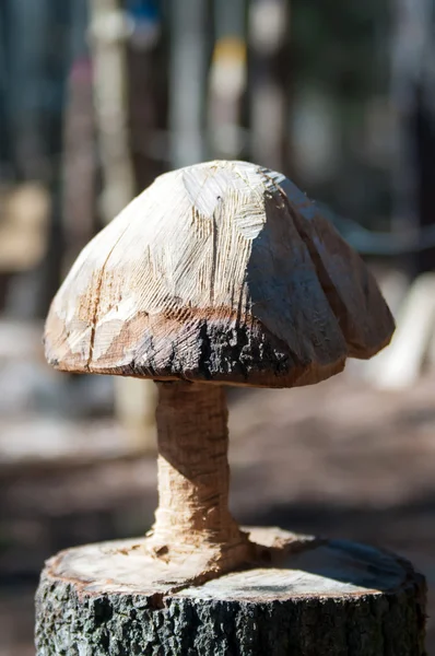 새겨진된 버섯 — 스톡 사진