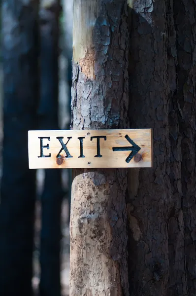 Tree exit sign — Stock Photo, Image