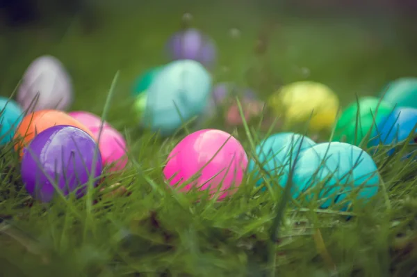 Easter duck basket — Stock Photo, Image