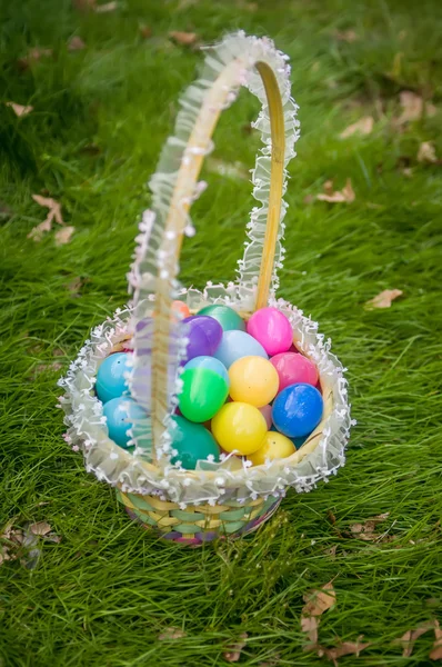 Easter duck basket — Stock Photo, Image
