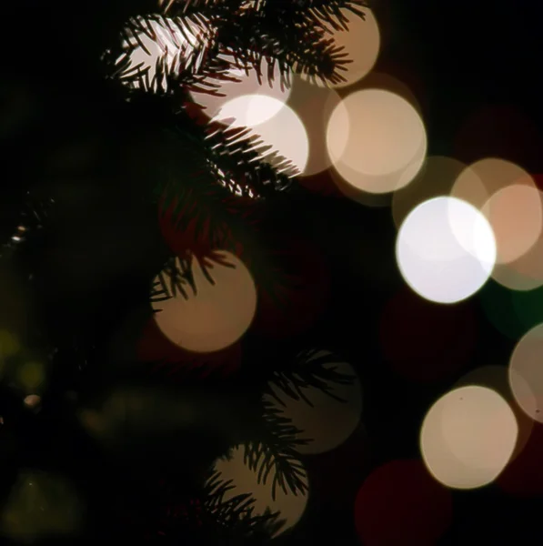 Lights blure - bokeh -with evergreen branches — Stock Photo, Image