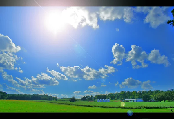 Pôr do sol sobre campo verde agrícola — Fotografia de Stock