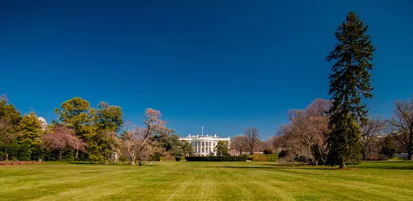 Washington 'daki Beyaz Saray. Güzel mavi gökyüzü. — Stok fotoğraf