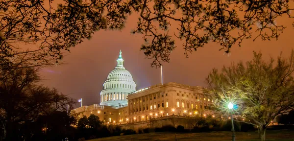 Nas Kapitolu w wiosna washington dc, Stany Zjednoczone Ameryki — Zdjęcie stockowe