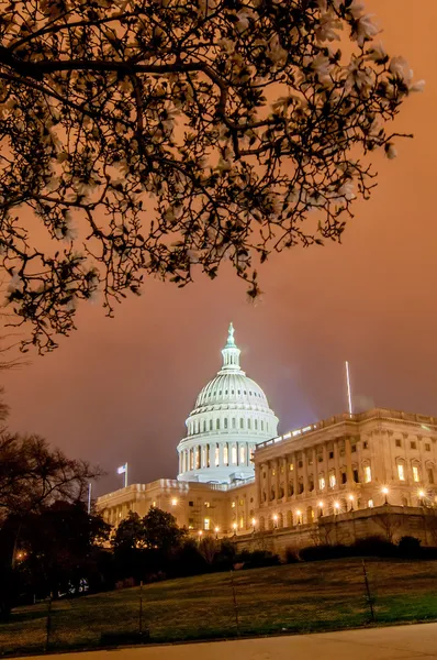 Immeuble Capitol des États-Unis au printemps Washington DC, États-Unis — Photo