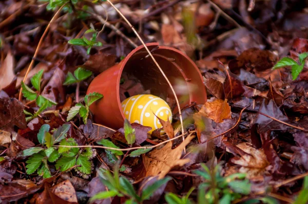 Ovos de Páscoa escondidos no quintal — Fotografia de Stock