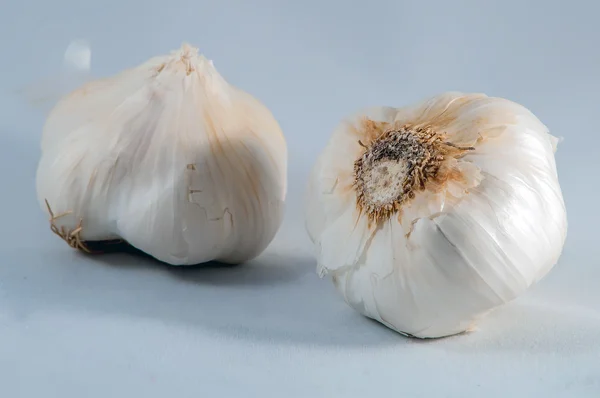 Garlic isolated on white background — Stock Photo, Image