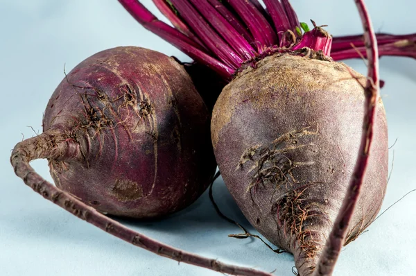 Two beetroots over white background — Stock Photo, Image