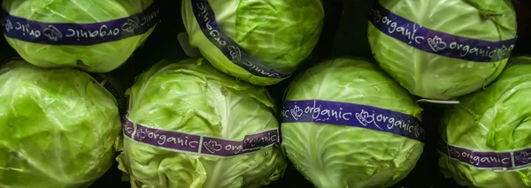 Lettuce on display at farmers market — Stock Photo, Image