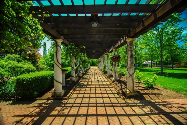 Passerelle en treillis de jardin avec pavés en pierre et fleurs de vigne à travers — Photo