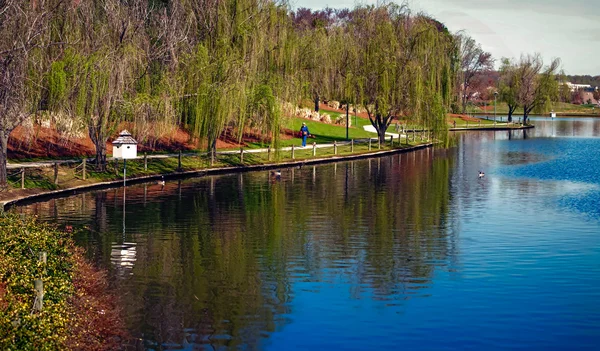 Paseo de primavera en el lago — Foto de Stock