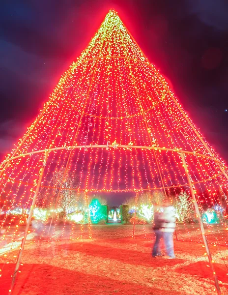 Trädgård natt scen i juletid i carolinas — Stockfoto