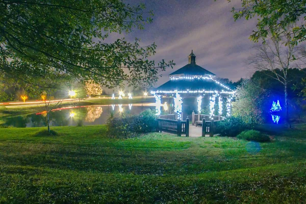 Jardin nuit scène à Noël temps dans les carolinas — Photo