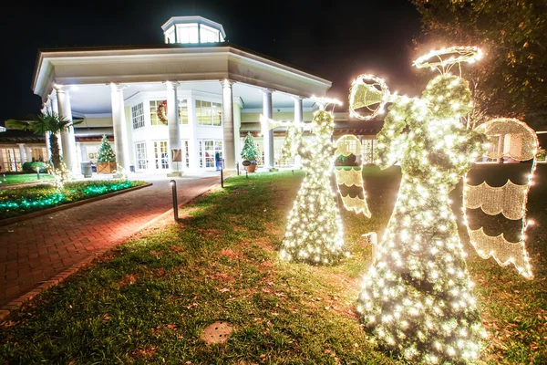 カロライナのクリスマスの時に庭夜景 — ストック写真