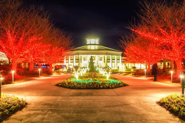 Jardín escena nocturna en Navidad en las carolinas — Foto de Stock