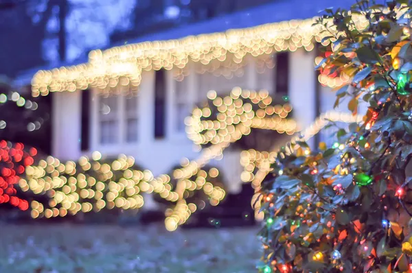 カロライナのクリスマスの時に庭夜景 — ストック写真