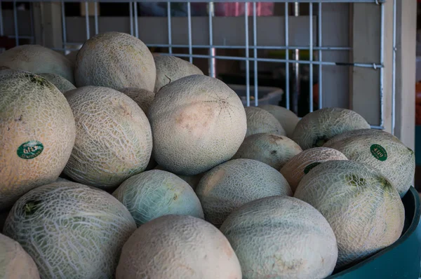 Skupina čerstvý zralý meloun na displeji v tržnici — Stock fotografie